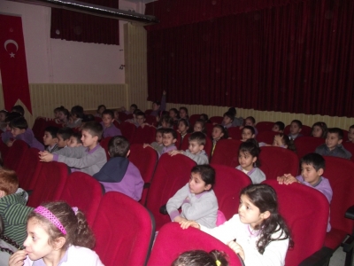 bilge-tavsan-055.JPG